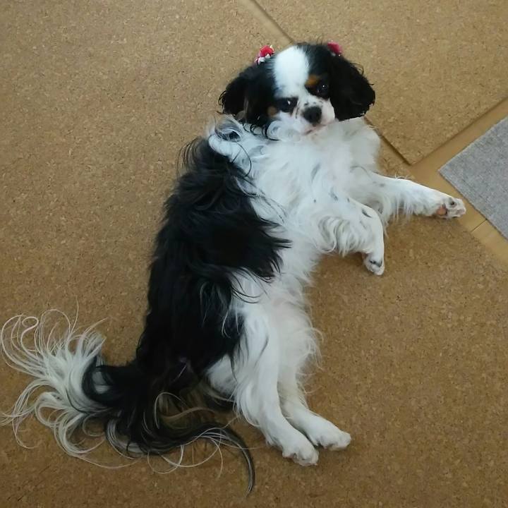 Cb28412e f765 4e1d bc24 30aa6956ab63