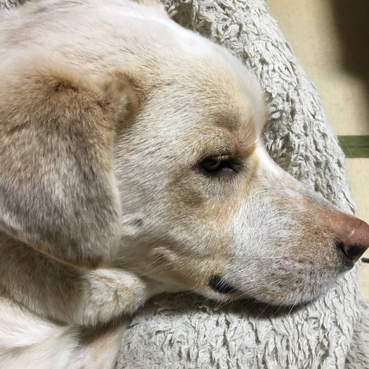 Cb288282 7406 41e8 a4fc 30d8478be774