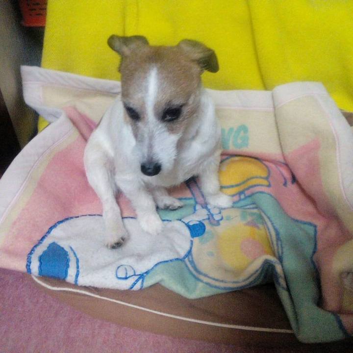 Cb28969b a6e3 4fbc bee5 e57fd0f02896