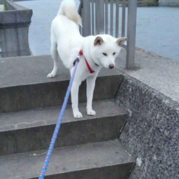 Cb28e0b5 9d54 471c bed7 2356745eb605