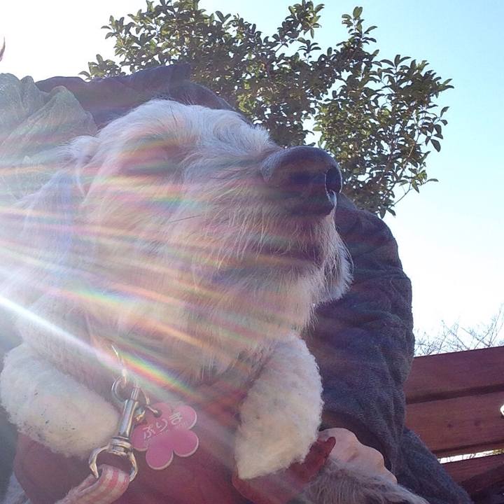 Cb28fe1c 832d 4e9c 8438 01e07e194dd7