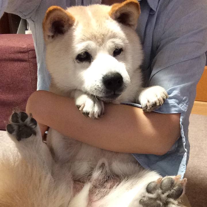 Cb292d56 9c15 4ba2 b8c6 08afaf448299