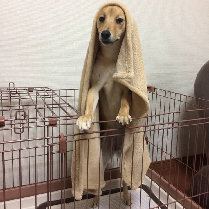 Cb293e0e a1f8 4149 9b62 c743b901ca18