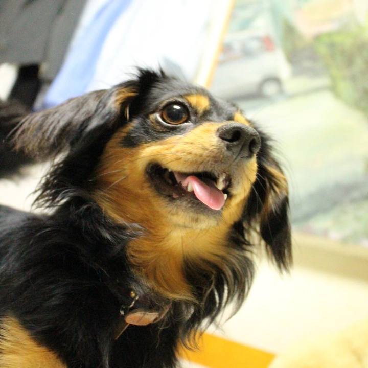 Cb29c7b6 548a 4c1e 8f69 76190f9aca21