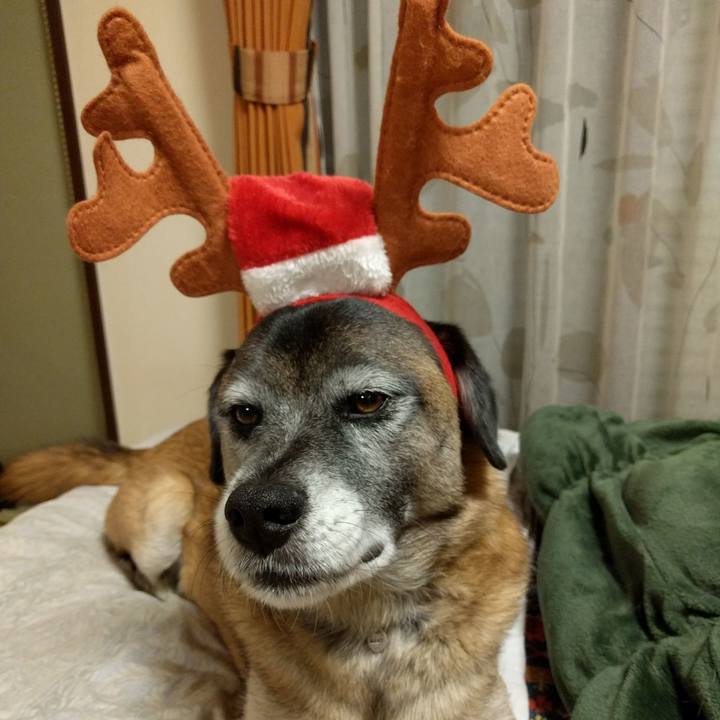 Cb29e328 52fb 4c6e 9869 e117342ad440