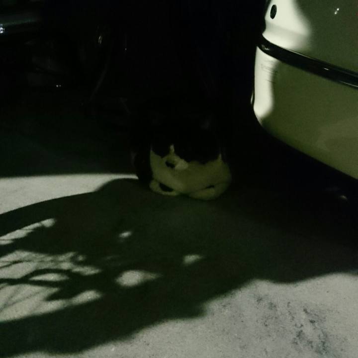 Cb2a77cf cd37 4bd4 b72e e520bd03f652