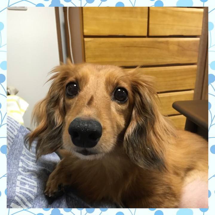 Cb2a875d 2015 42d2 822e ebb22f4bc138