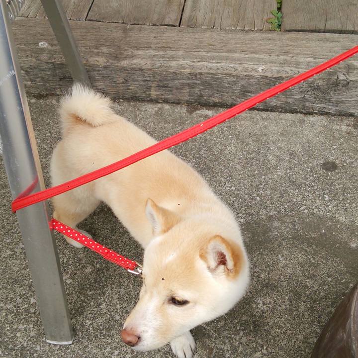 Cb2a93bc 98e2 4238 9fd5 dc023c5b5883