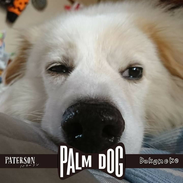 Cb2ada07 4e4a 4107 a37f 6e878780fa56