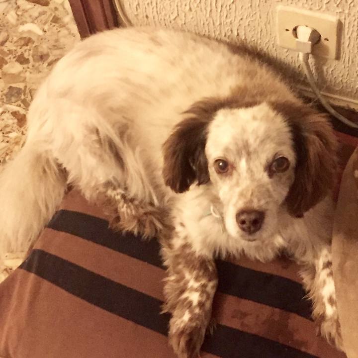 Cb2afcf2 bcb8 48ef 8526 83c9a9bf04f7