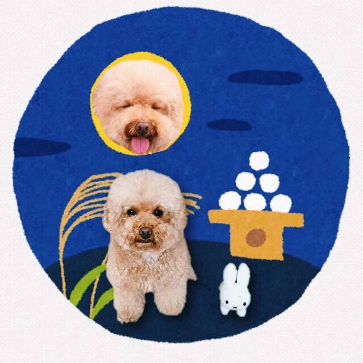 Cb2b6101 21db 4add bf62 d87657e3e783