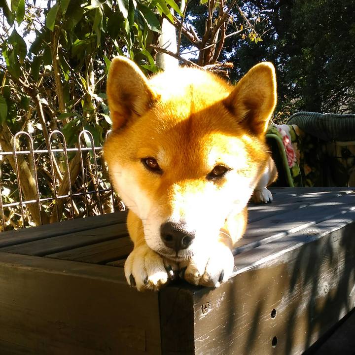 Cb2c279d a243 4510 a52a 997501ddd1de