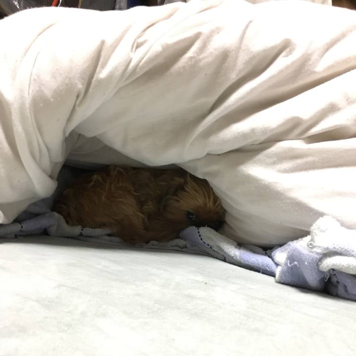 Cb2c2b6d 8a93 4721 9817 5e6905926874