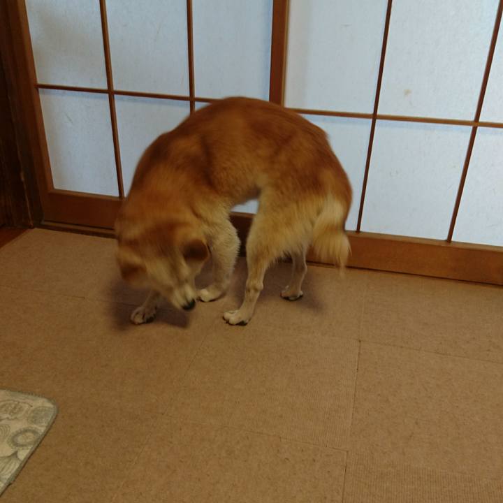 Cb2c79b0 9e45 47ed aa2a 57679cec456d