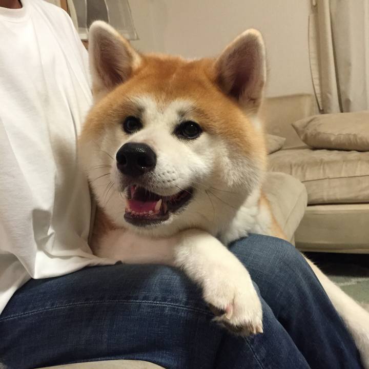 Cb2c7c98 3f87 41c1 b7a0 f61919773875