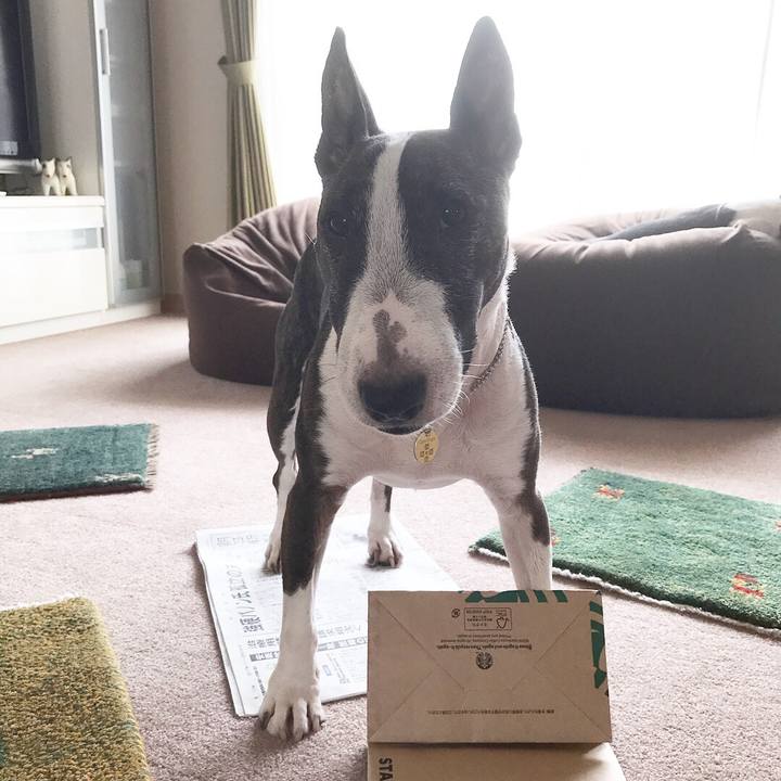 Cb2dc722 7c78 44e7 8a06 63c01fccee04