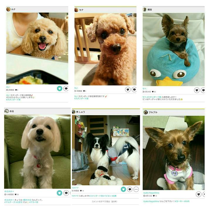 Cb2ee420 c177 4aee 89c7 8c87eb919dd7