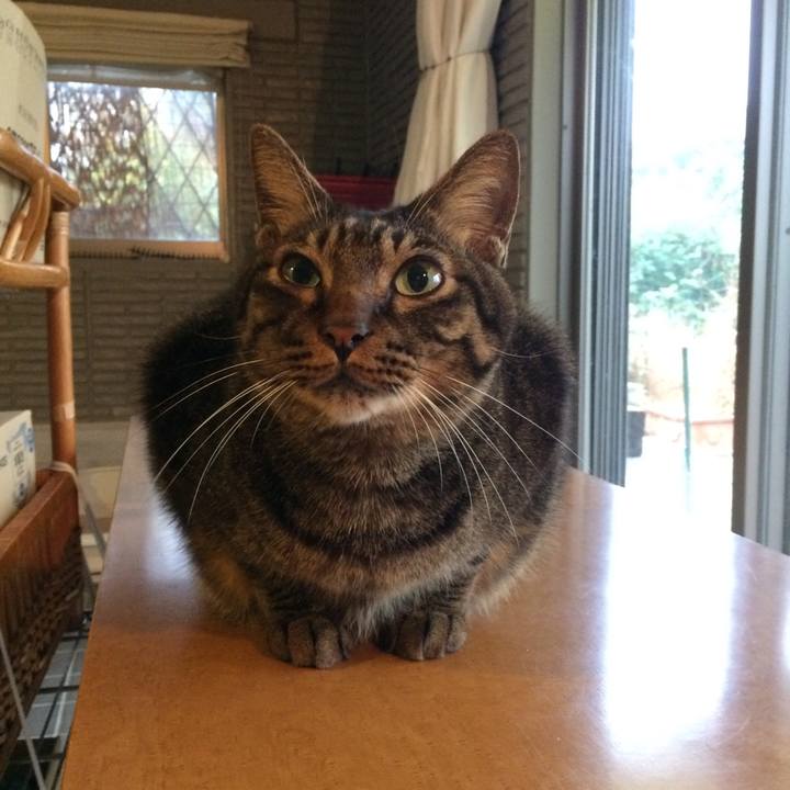 Cb2efb6f 18cb 4a77 b97c aee327a7975b