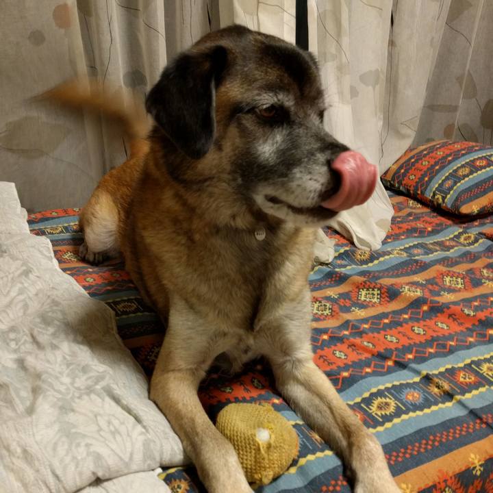 Cb2f19a9 cef8 43fc b3e7 82c51c8a5a26