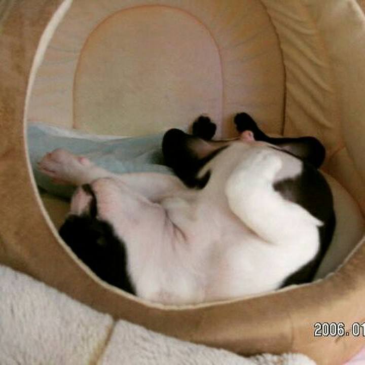 Cb2fdf57 b14f 4739 a1d2 360aab4eed88