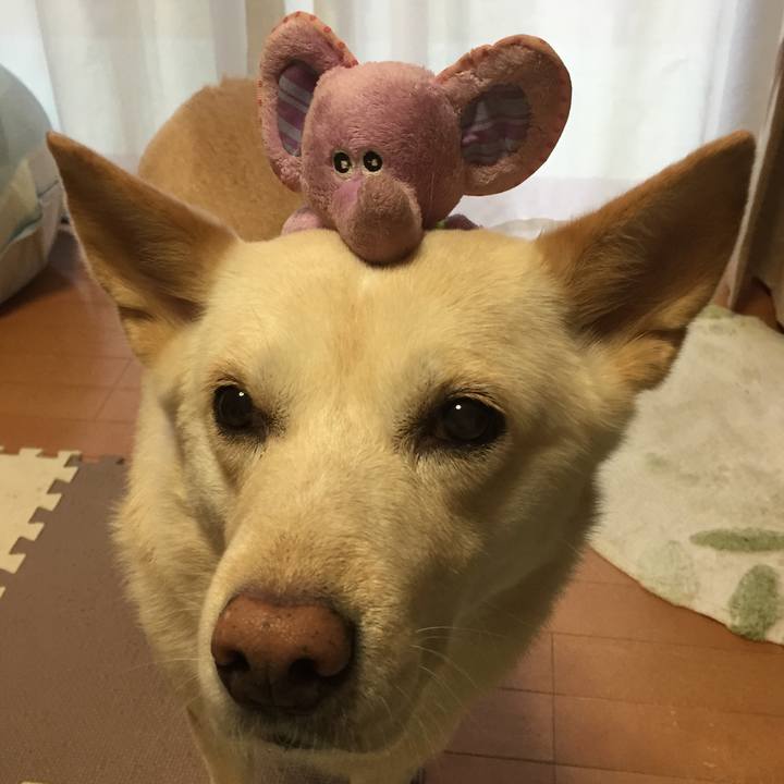 Cb2fe927 38c3 4479 8105 7d63d36c3403