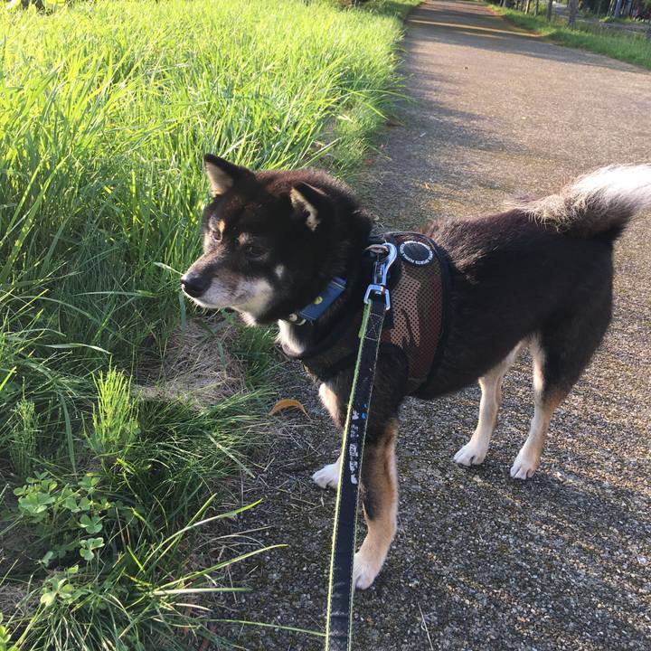 Cb30aeac 7f57 4028 ad20 57917096247c