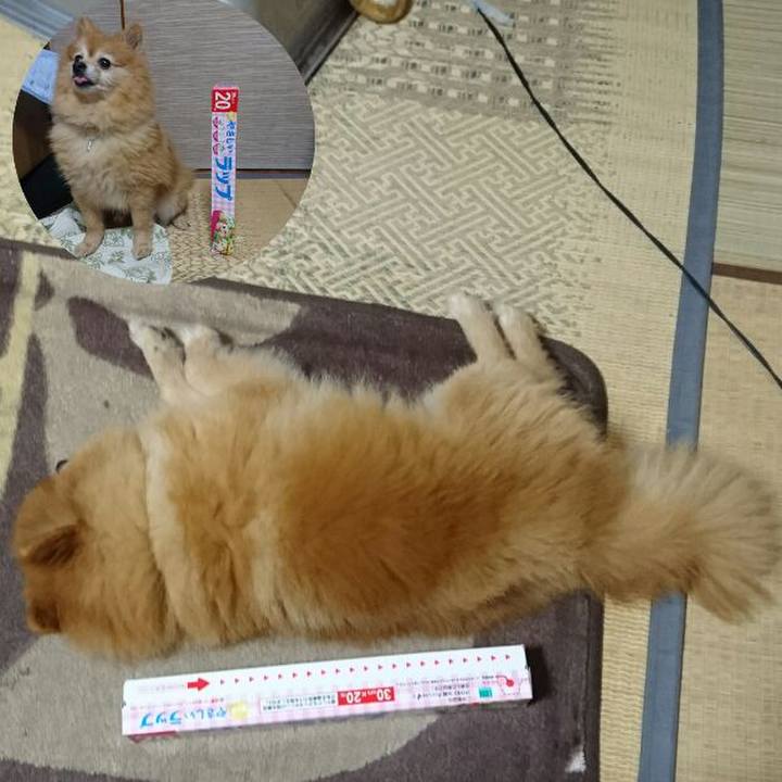 Cb311c63 9d11 4a80 a0d2 b286c790f9ae