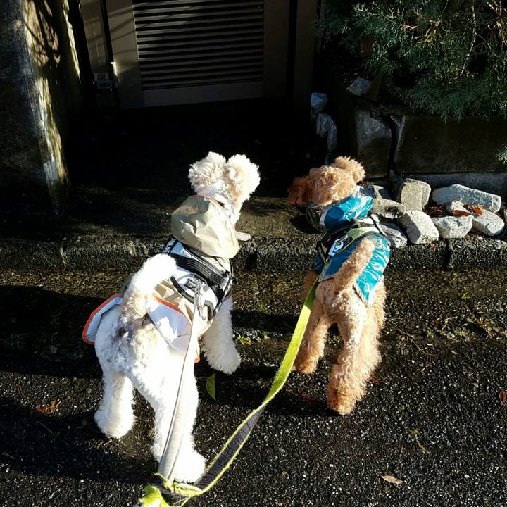 Cb31a905 be76 4a71 85d2 e20fa4d3ded0