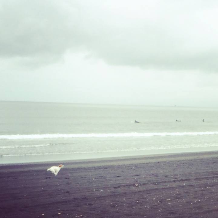 Cb31ffab 1113 47b7 8ad0 a0ea5f4b962d