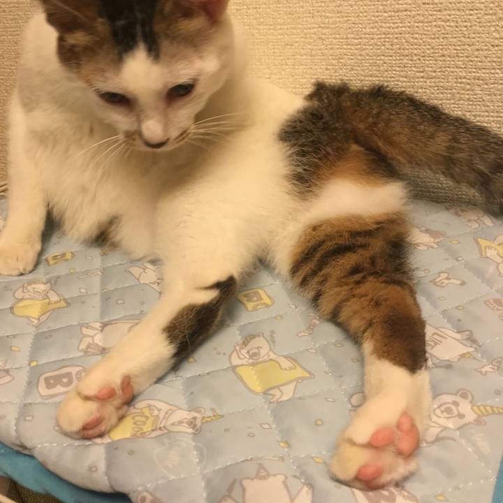 Cb3215d1 3227 49ca 845a 9640cb296b03