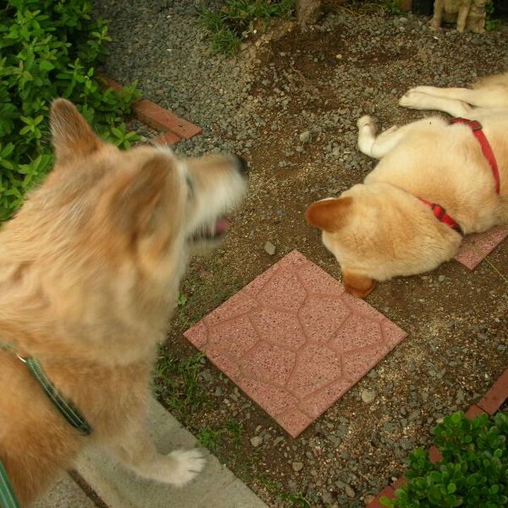 Cb322a12 f3dc 400c 8424 0d88449a3b1b