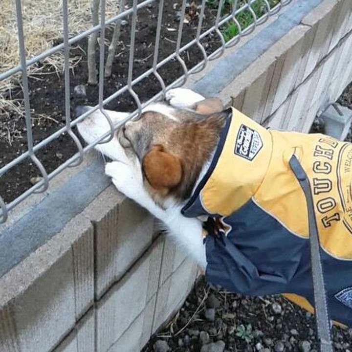 Cb325209 6dea 49e7 b7cc 4f19d77e60dd