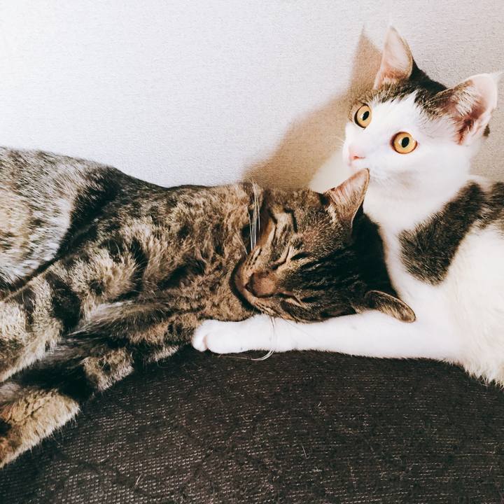 Cb329da1 17b6 4203 a15d e32df13f2fa5