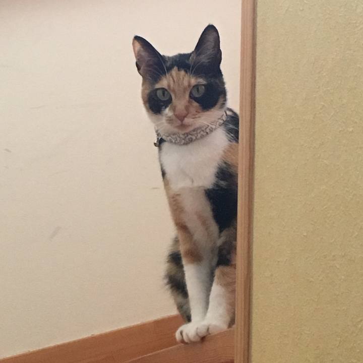 Cb332ec1 2842 4464 a52c 25aed6800525