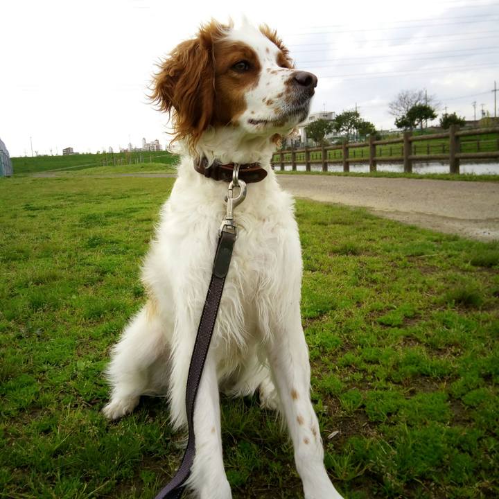 Cb337926 89e4 4ef5 894a c848eaa5dc7b