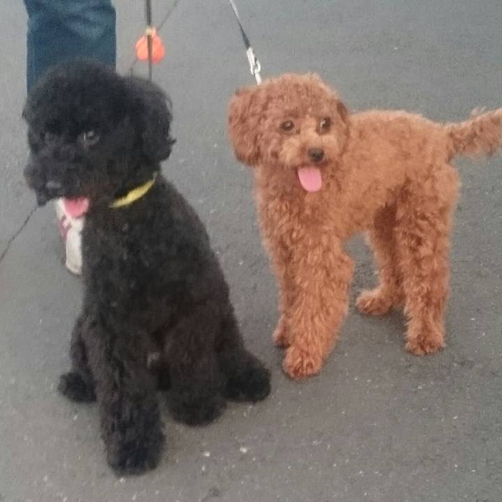 Cb339cfe 68b7 4c91 bfa4 a133dc96c70f