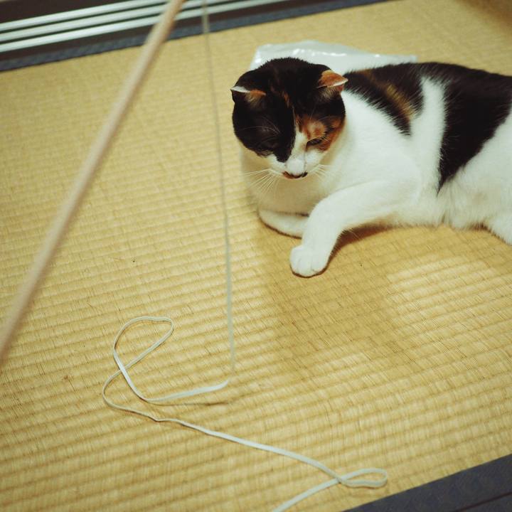 Cb344b41 bdae 40e4 89fd e8e3c1213f4b