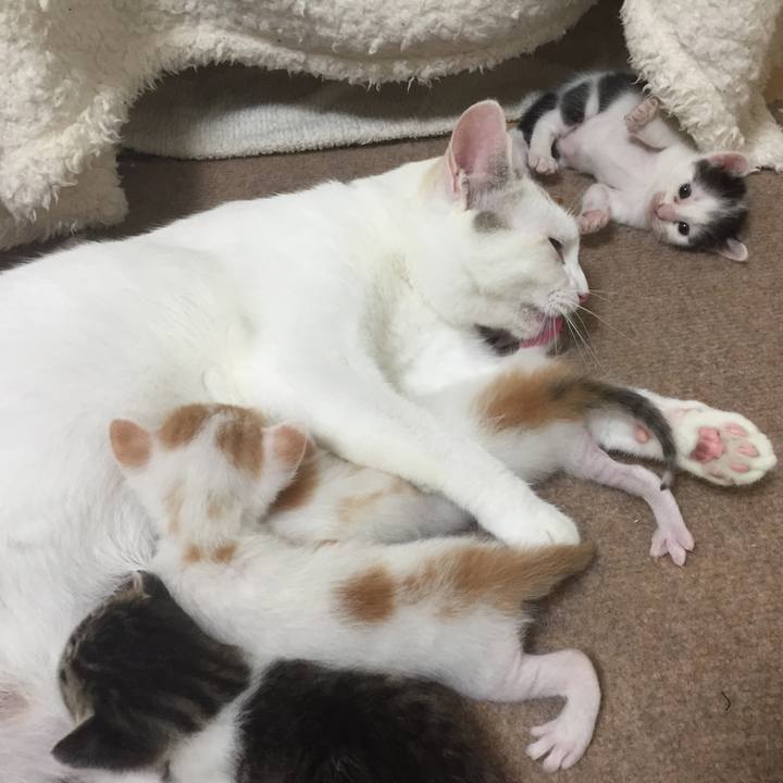 Cb34fd86 8758 4d70 a519 6a00aed9eeda