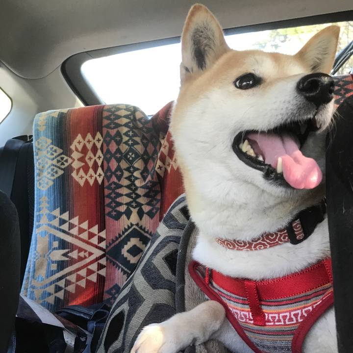 Cb355e98 bdaf 4035 9224 52af361965bd