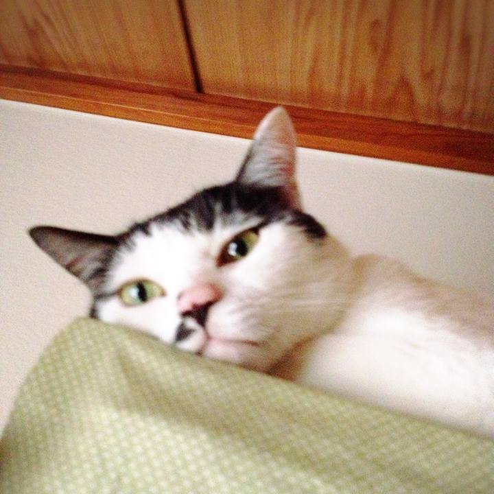 Cb358d2f 3778 4949 8435 e03449551873