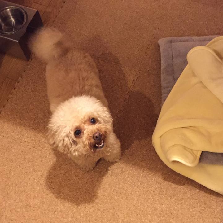 Cb359bf9 fe0a 4f1a 906e 8aaa556a42b8