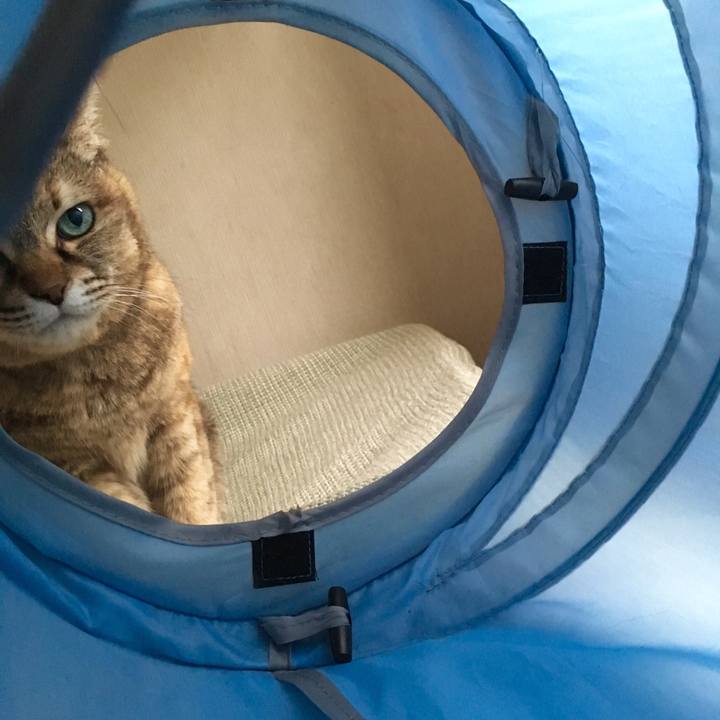 Cb35ae08 7ec3 44b5 ac95 0d9bfa2c441b