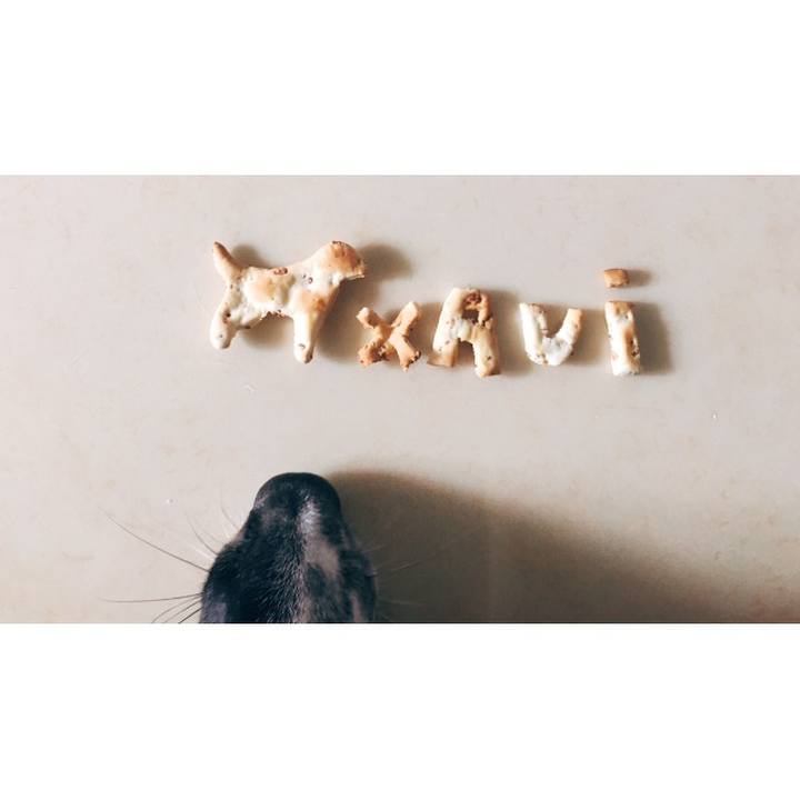 Cb365d4c 96c2 4fe1 a457 208792371807