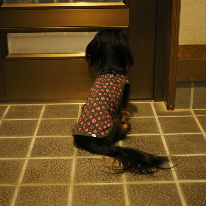 Cb370a69 e9b2 47d2 97f2 02d7d55b246f