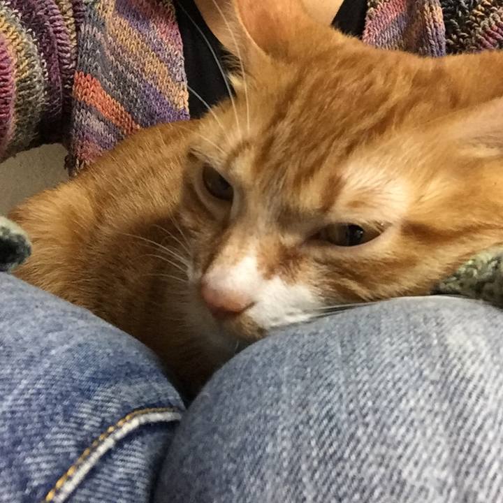 Cb374963 e15e 432e b764 41623e2ea65a