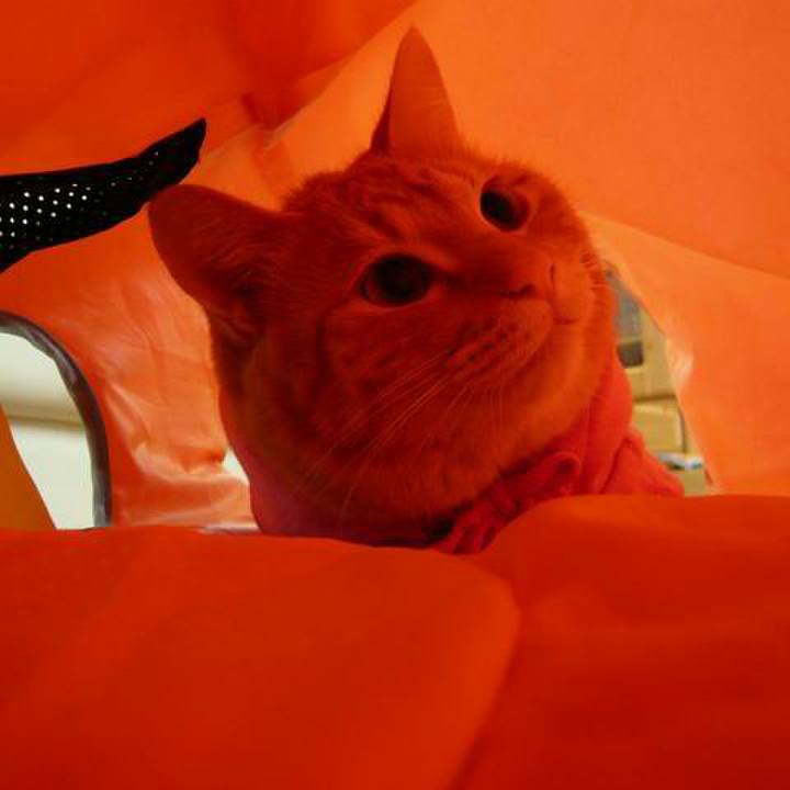 Cb37d379 ac67 4606 9fee a4dec9dfcd33