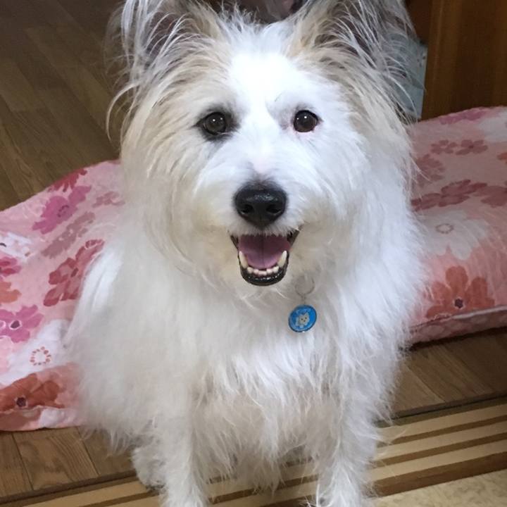 Cb37deaf 8c54 4950 8701 c3435ec1e2e8