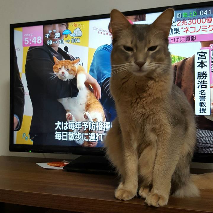 Cb384931 5927 4528 a9b4 64d640889fb3