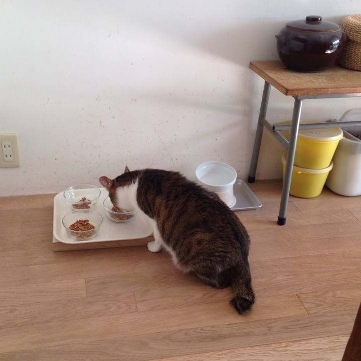 Cb386180 1c59 499f 8bb0 35becae6dcb1