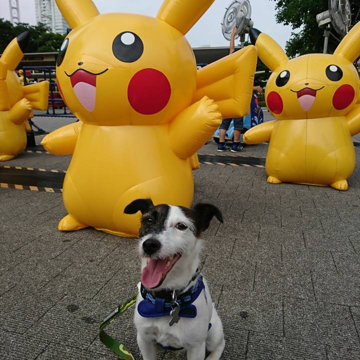 Cb3971b3 c395 4ca3 b26b fab224c022f7